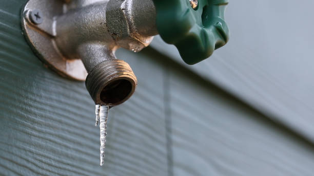 Best Plumbing Repair Near Me  in Millington, TN